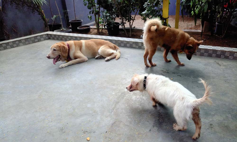 Bootstrap Touch Slider