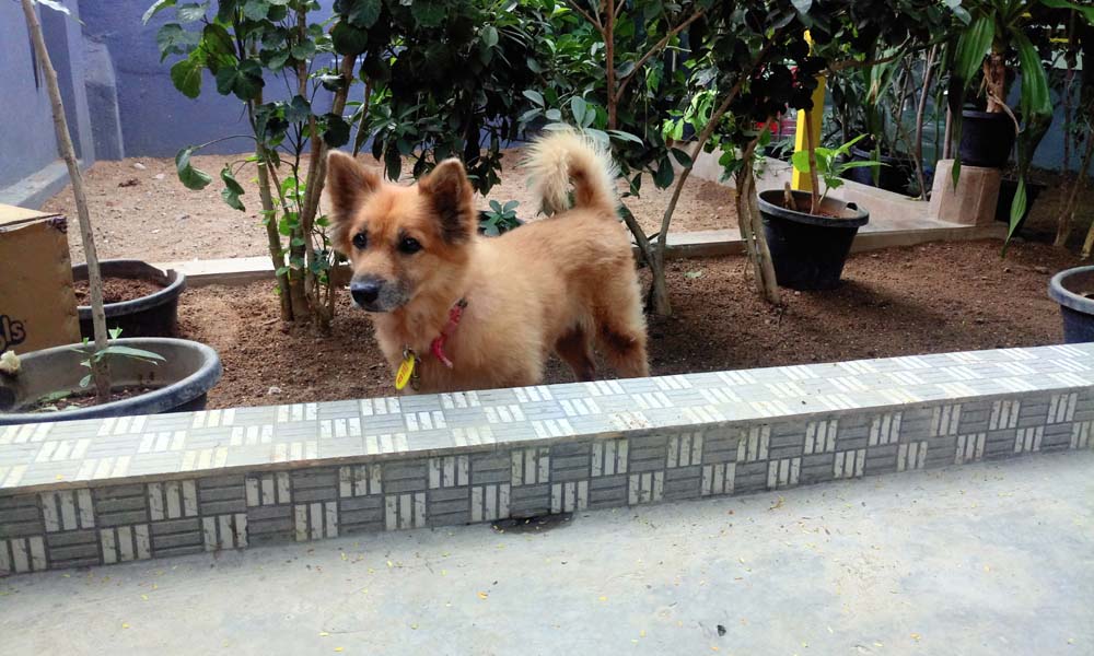 Bootstrap Touch Slider